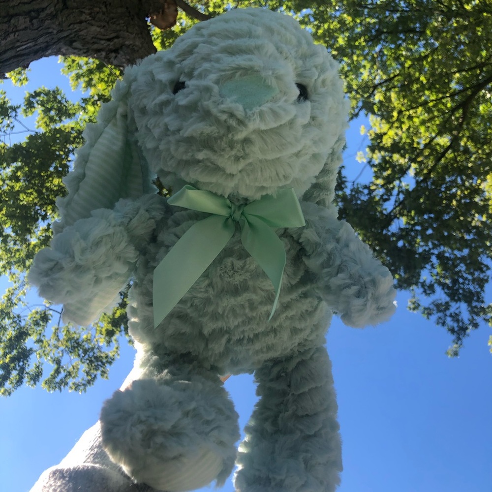 Plush teddy bear